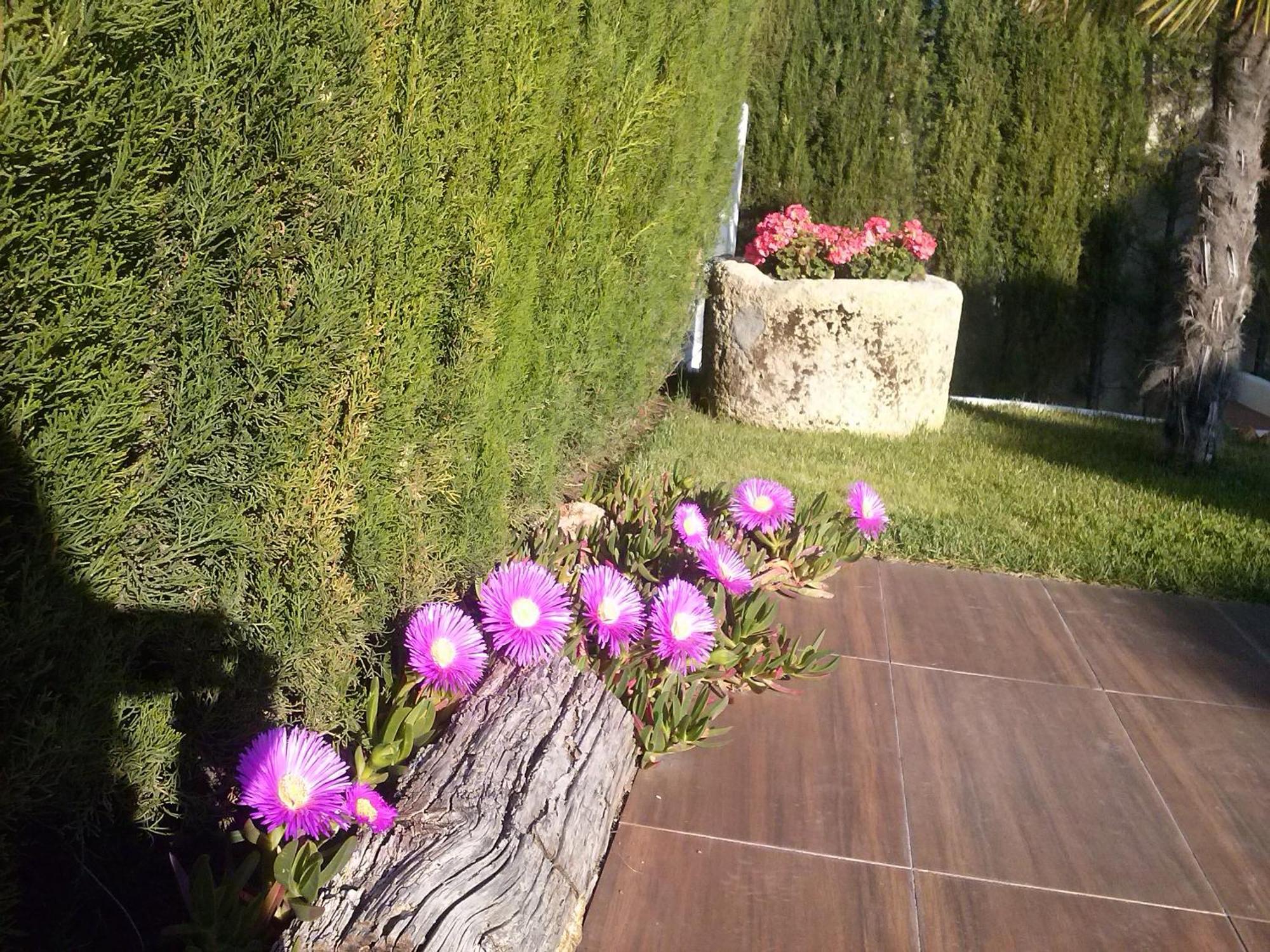 Chalet Airam Monachil Dış mekan fotoğraf